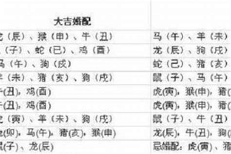 97年生肖|97年属什么 97年属什么命